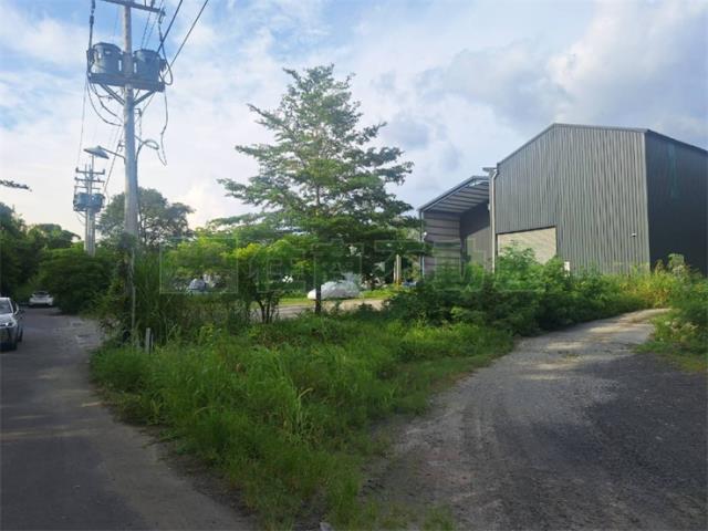 燕巢廠房-2