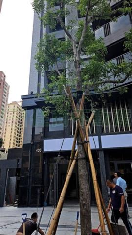 左營大樓-12