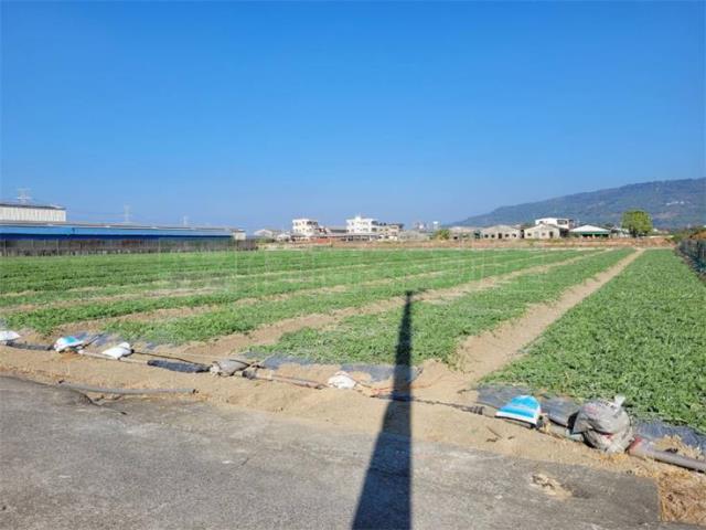 阿蓮農地-3