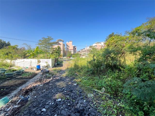 旗山山坡地-4