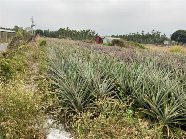 屏東農地-1