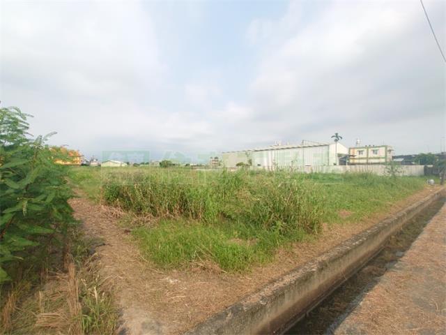 大寮農地-9