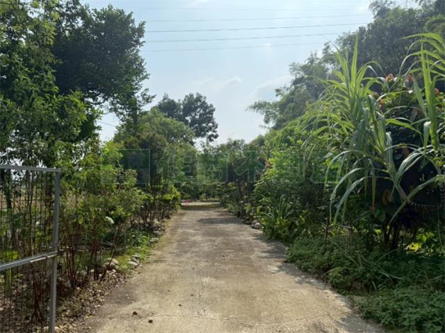 高雄農地-12