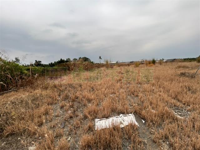 屏東里港農地-3