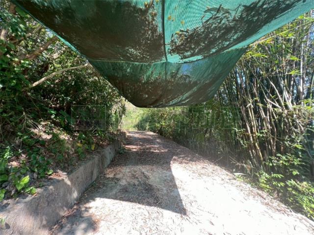 高雄旗山農地-14