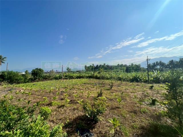 高雄旗山農地-0