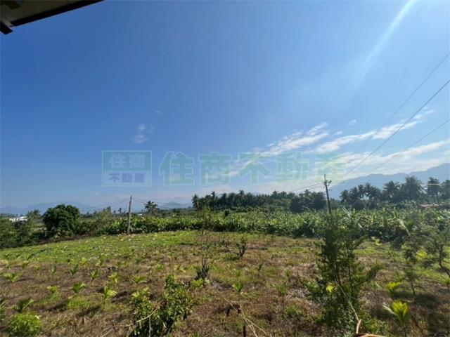 高雄旗山農地-5