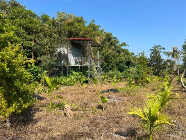 高雄旗山農地-7