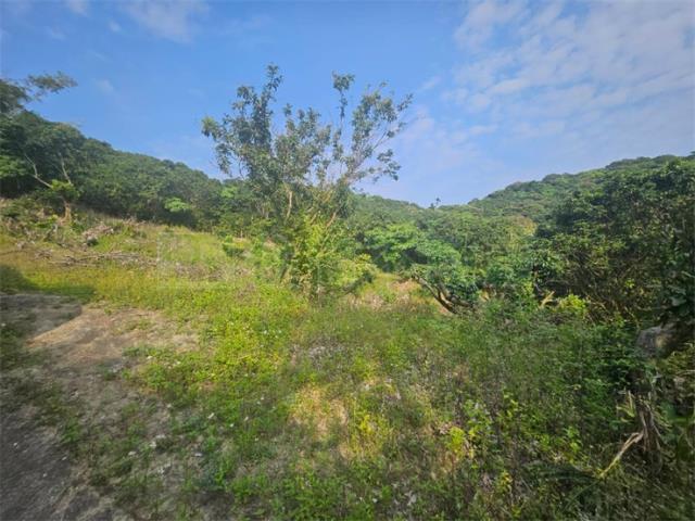 高雄大樹農地-0