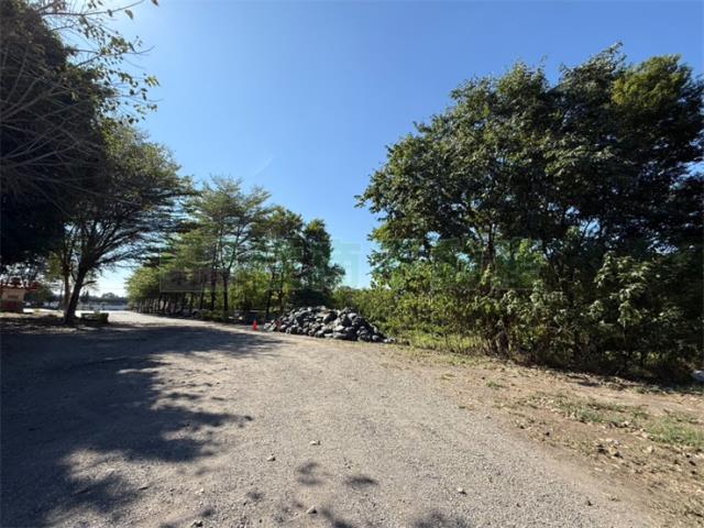 高雄岡山農地-2