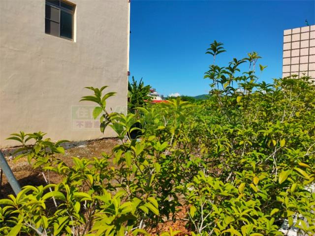 高雄內門建地-3