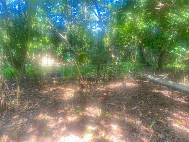 高雄內門農地-0