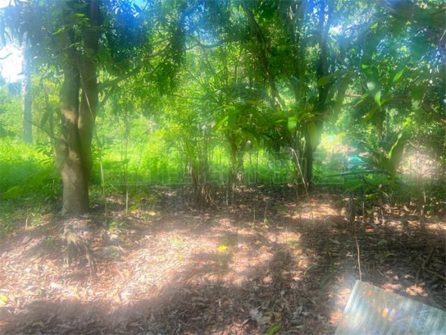 高雄內門農地-2