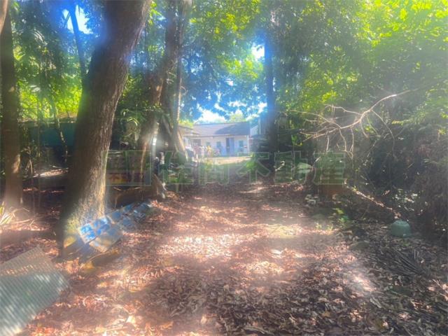 高雄內門農地-7