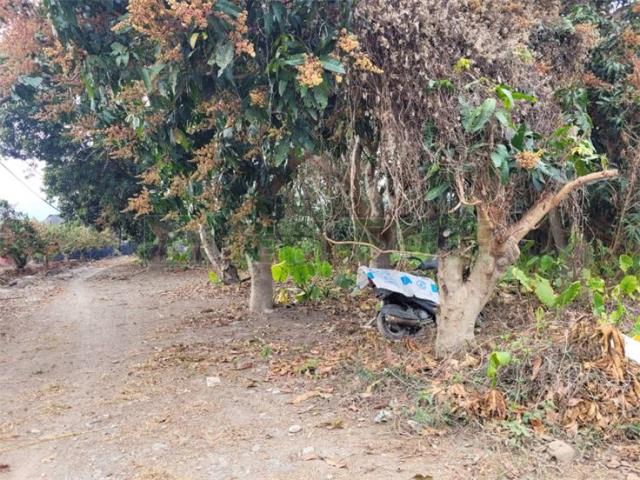 高雄六龜農地-8