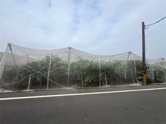 高雄岡山農地-3