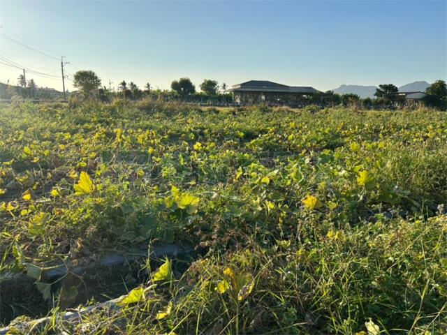 高雄美濃農地-6