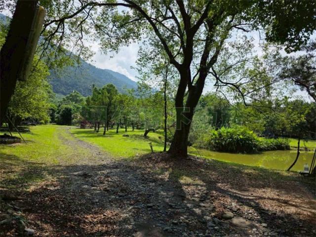 屏東高樹農地-3