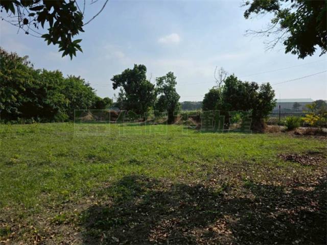 屏東高樹農地-7