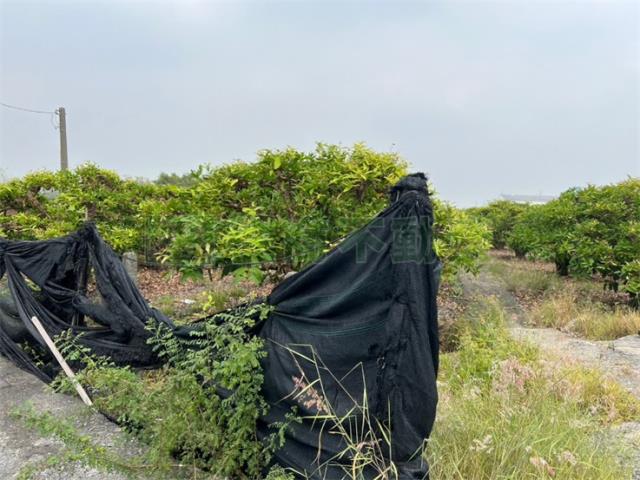屏東農地-6