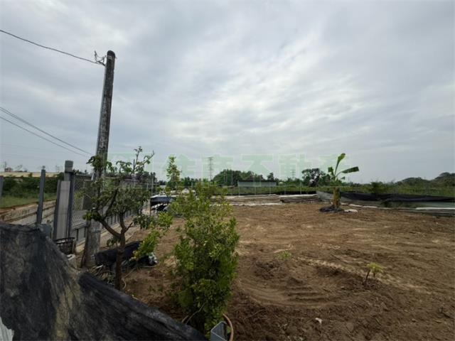 高雄大社農地-10