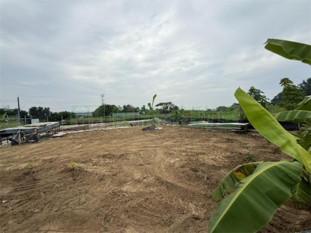 高雄大社農地-2