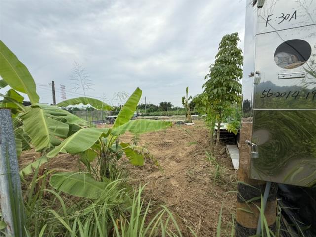 高雄大社農地-7