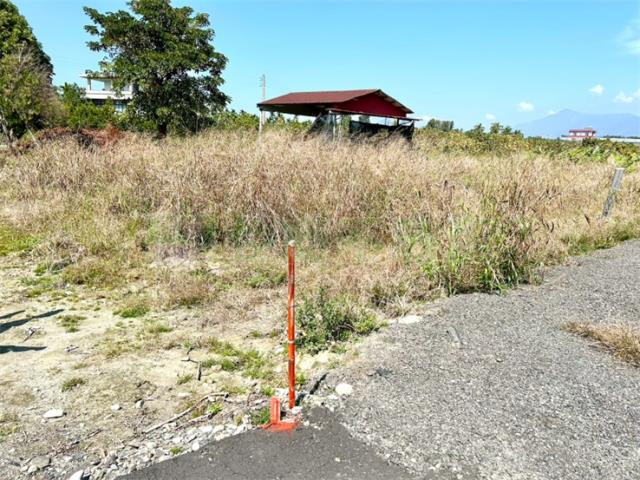 屏東高樹農地-2