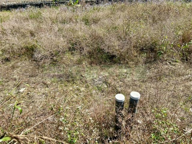 屏東高樹農地-4