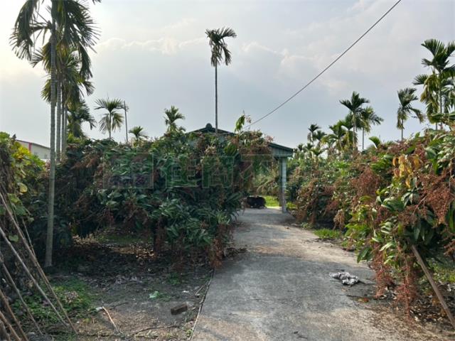 屏東鹽埔農地-5