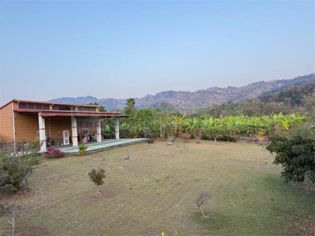 高雄內門農地-2