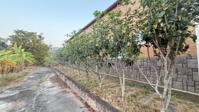 高雄內門農地-7