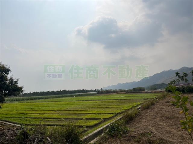 高雄美濃農地-9