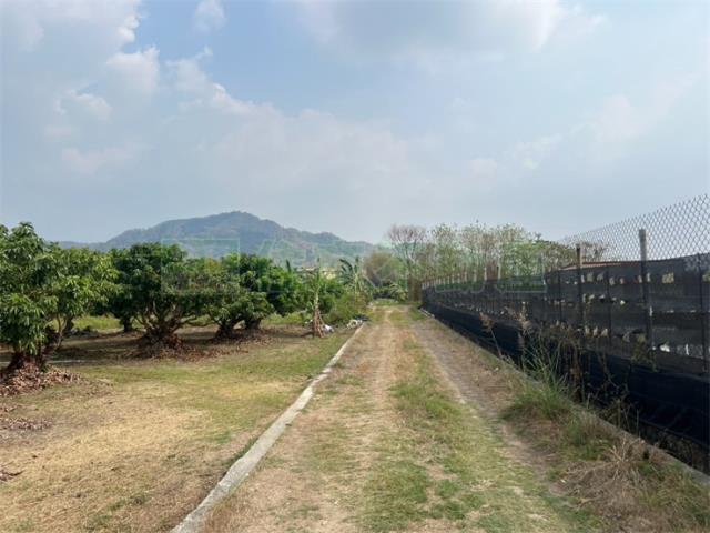 高雄美濃農地-1