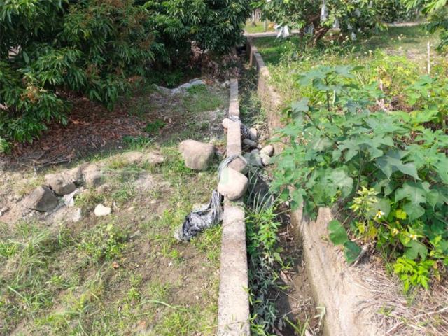 高雄美濃農地-5