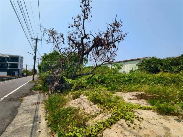 高雄湖內農地-9