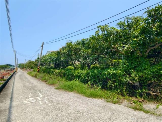 高雄湖內農地-6