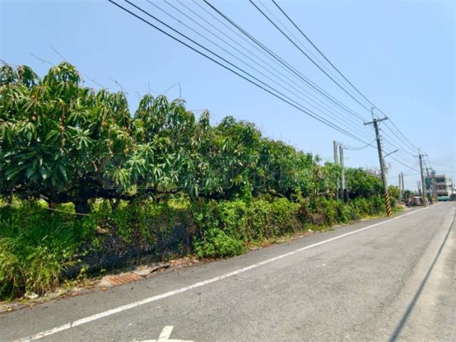 高雄湖內農地-7