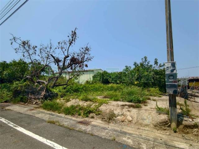 高雄湖內農地-8