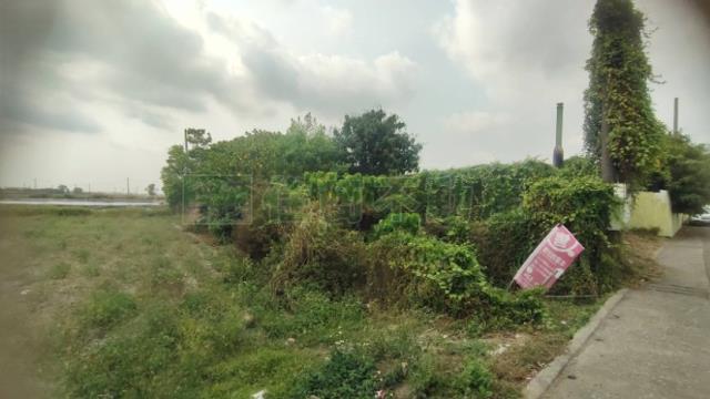 屏東萬丹建地-6