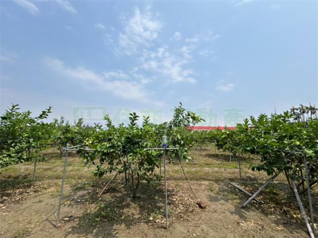 屏東九如農地-1