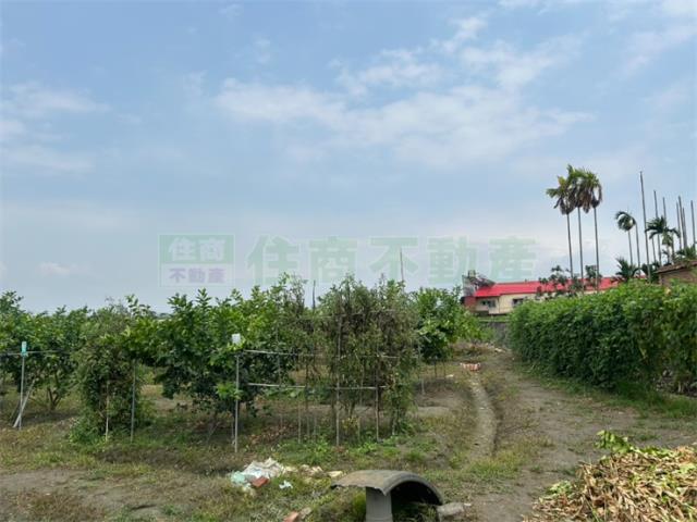 屏東九如農地-6