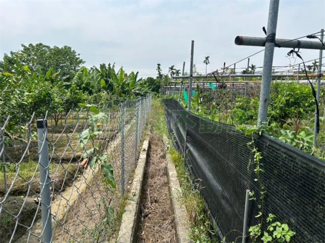 屏東九如農地-7