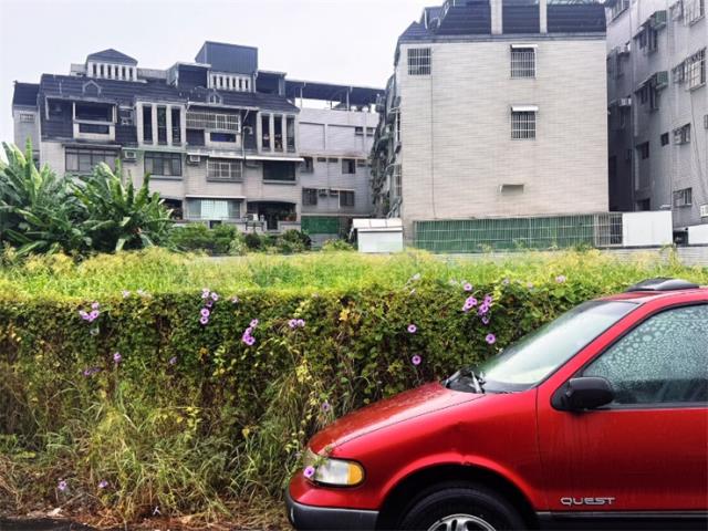 高雄仁武建地-9