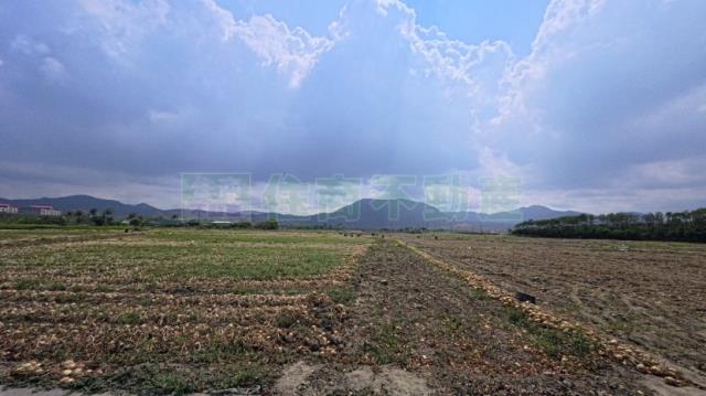 屏東農地-10