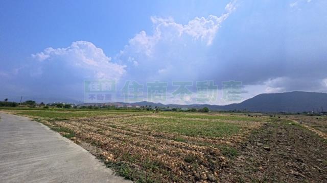 屏東農地-11
