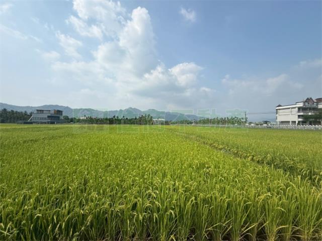 美濃農地-0