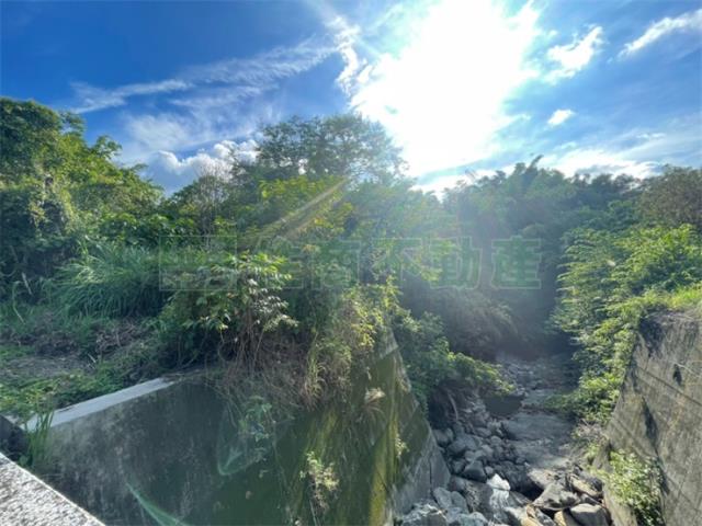 台南東山農地-4