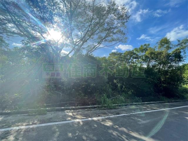 台南東山農地-6