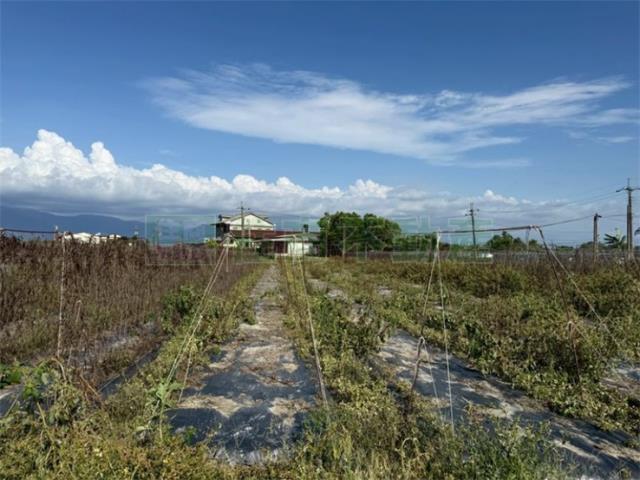 高雄美濃農地-12
